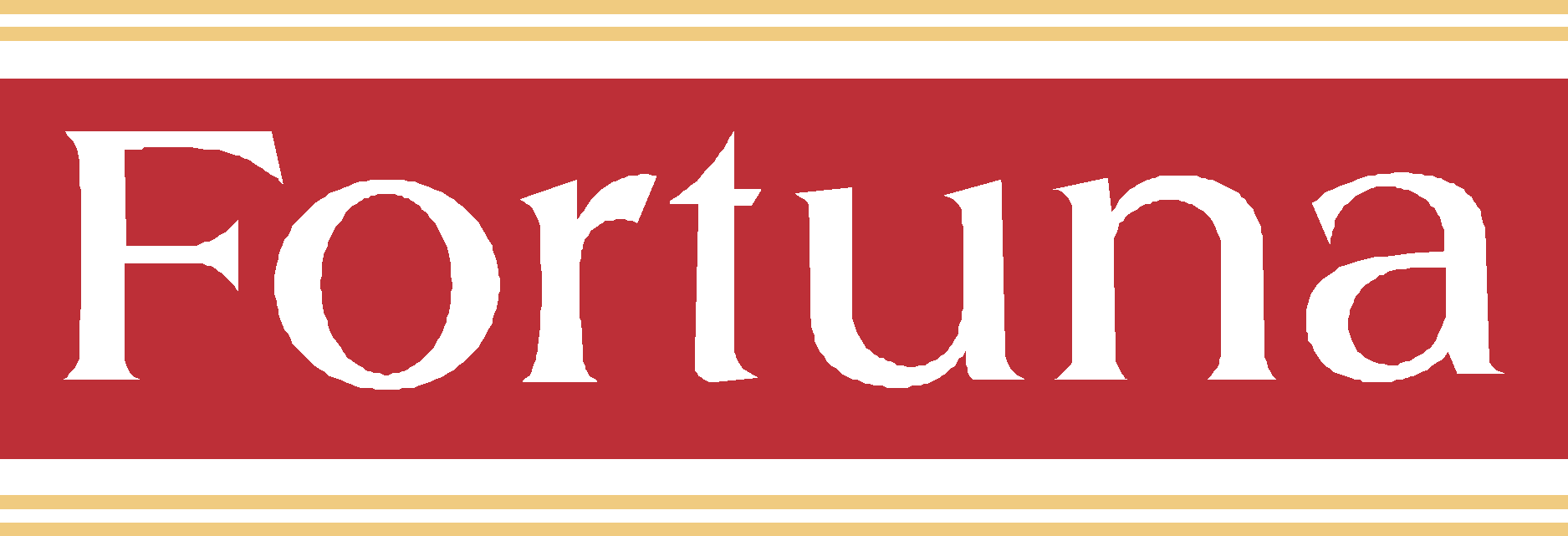 Шини бу Fortuna