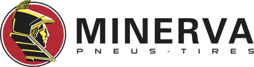 Minerva шини б.у