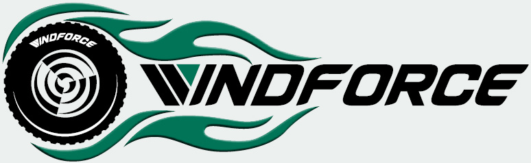 Windforce шини б.у